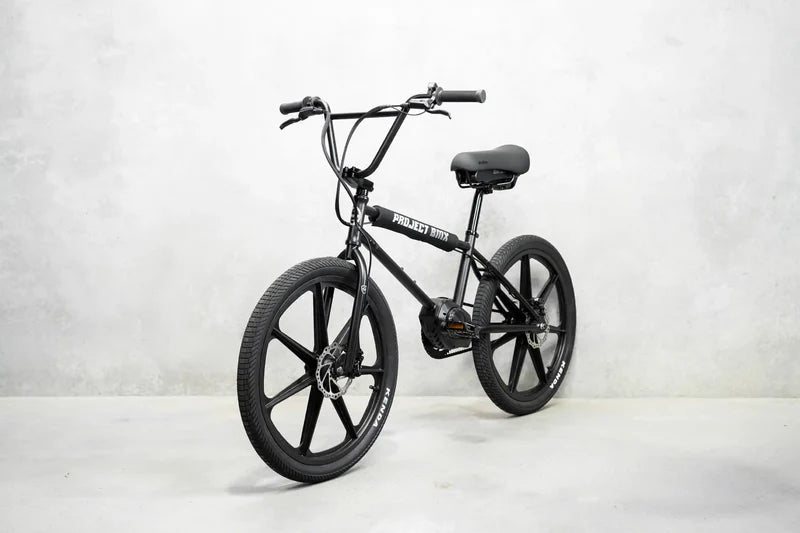 Lightweight Electric Bike