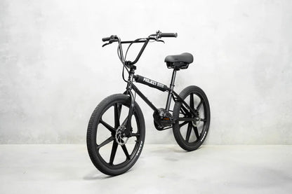 Lightweight Electric Bike