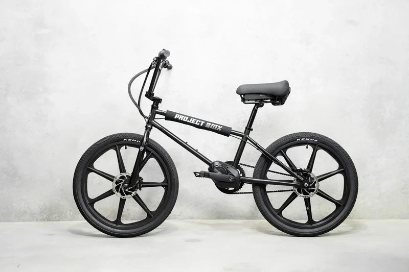 Lightweight Electric Bike