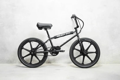 Lightweight Electric Bike