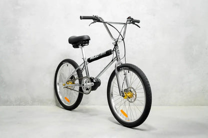 Lightweight Electric Bike